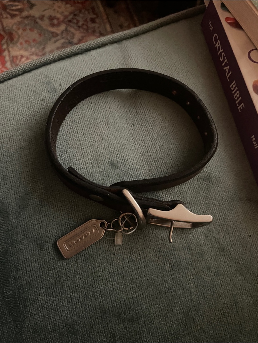 Coach Brown Leather small dog collar - Picture 2 of 4